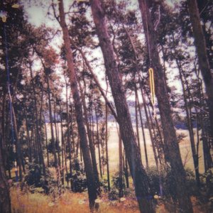 Your Trees - Single