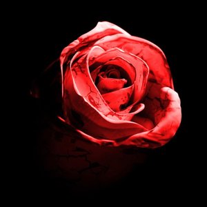 Romantic Homicide (Live)