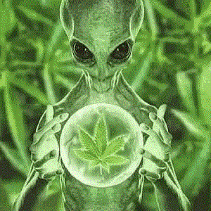 2099SPELLS 的头像
