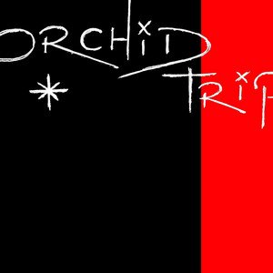 Orchid Trip