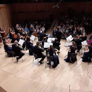 Orchestre De Chambre Liszt Ferenc 的头像