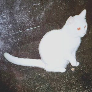 Airbenders Should Be Able to Bend Lightning - Single
