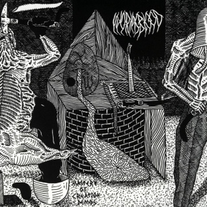 Fragments of the Witch cover