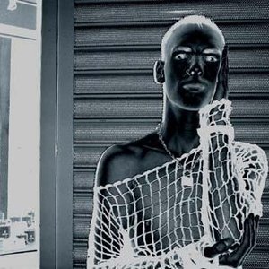 Data Raper 的头像