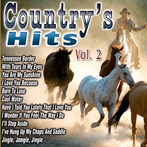 Country Hits Vol.2