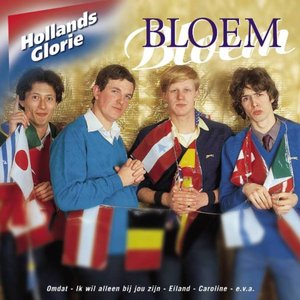 Hollands Glorie - Bloem