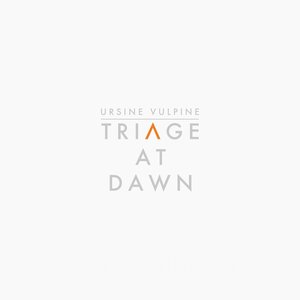 Triage at Dawn