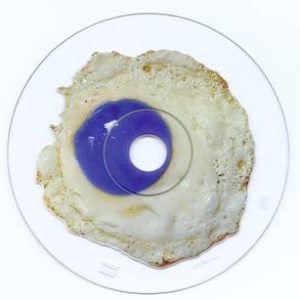 Dionysos - The Sun Is Blue Like The Eggs In Winter - Zortam Music