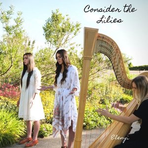 Consider the Lilies