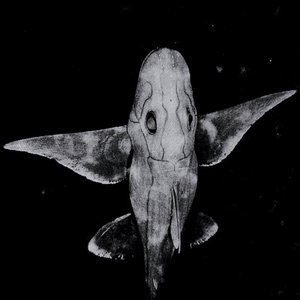Lichtlos (Remix EP)