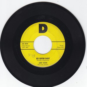 Les Cole & The Echoes 的头像