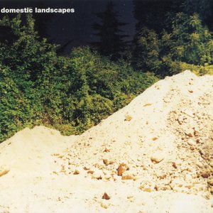 Domestic Landscapes #4