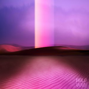 HoloVoid