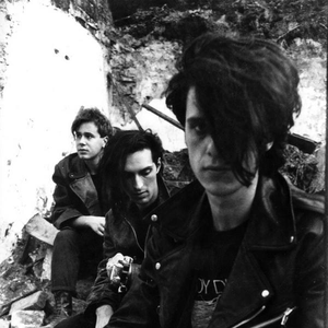 F.O. System photo provided by Last.fm