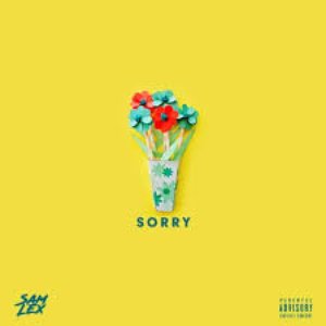 Sorry - Single