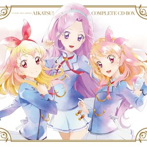 TV Anime Data Carddass Aikatsu! Complete CD Box