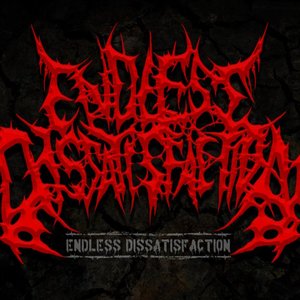 Image for 'Endless Dissatisfaction'