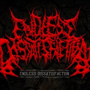 “Endless Dissatisfaction”的封面