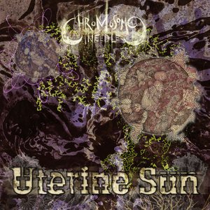 Uterine Sun