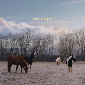 unicorn