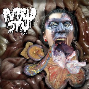 Amidst an Anal-Analgesic Assembly