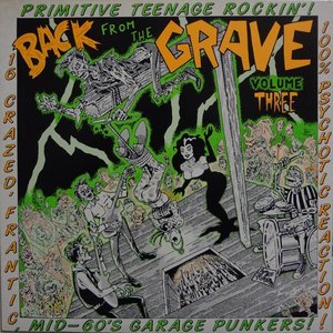 Image for 'Back From the Grave, Volume 3'