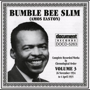 Image for 'Bumble Bee Slim Vol. 3 1934-1935'