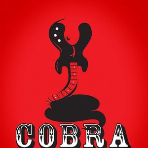 Cobra Collective için avatar