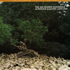 Alternate Electric Ladyland