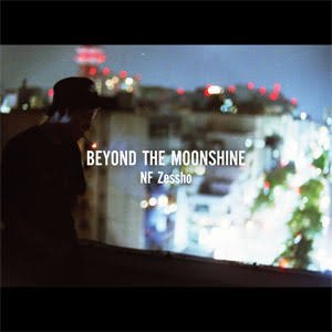 Beyond the Moonshine