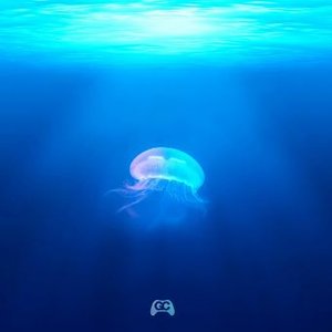 Aquatic Ambiance
