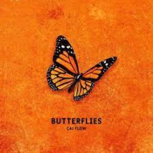butterflies