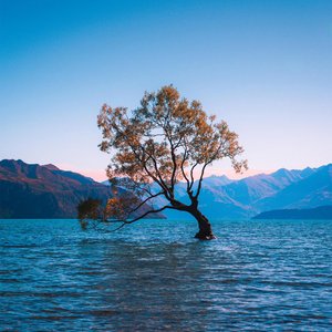 Amazing Nature Sounds for Sleep