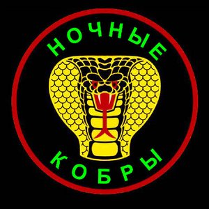 Ночные Кобры 的头像