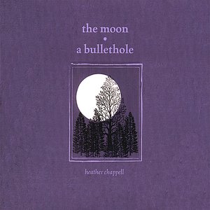 The Moon A Bullethole