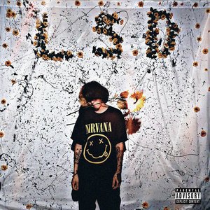 L.S.D