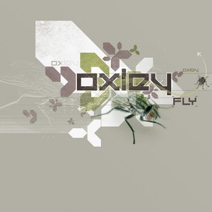 Fly
