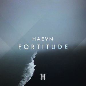 Haevn - Fortitude - Single - Zortam Music