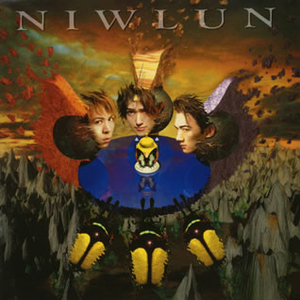 NIWLUN cover
