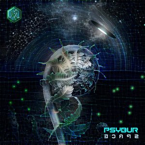 Psybur Space