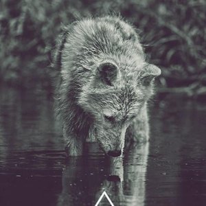 Wolf - EP