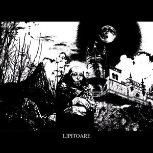 Lipitoare