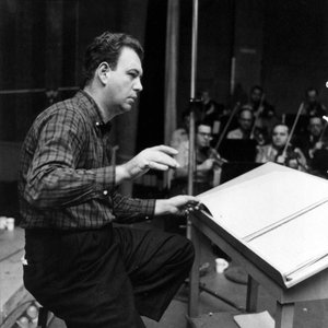 Nelson Riddle and His Orchestra 的头像