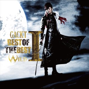 BEST OF THE BEST vol.1 -WILD-