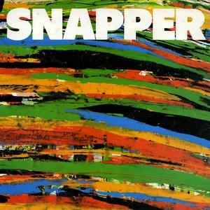 Snapper