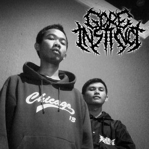 Gore Instinct 的头像