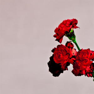 Portada del álbum