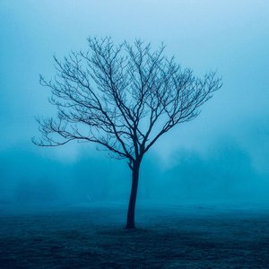 End of Times - Single