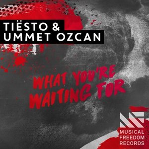 What You're Waiting For - Single