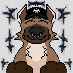helian hyena 的头像